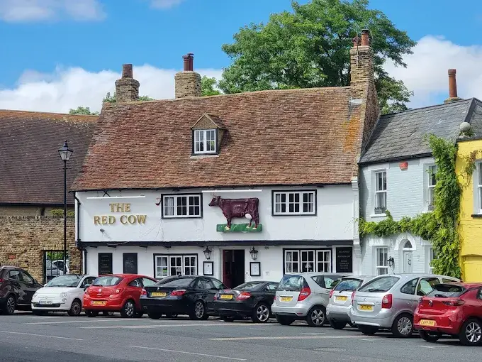red cow 1