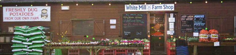 whitemill 768x180