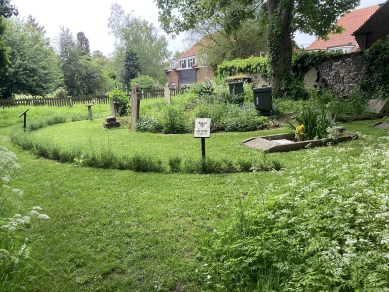Apiary and Bee Garden May 2024 3 1024x768 1 768x576