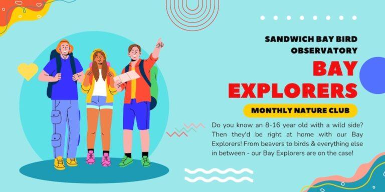 Bay Explorers 2026 copy 1024x512 1 768x384