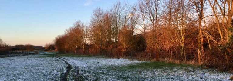 Jack foat Field Winter 2000x700 1 768x269