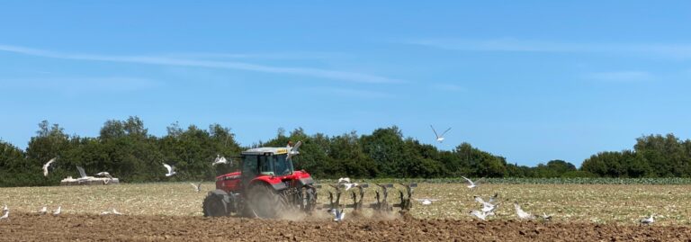 WH Tractor ploughing 2020 06 23 2000x700 1 768x269