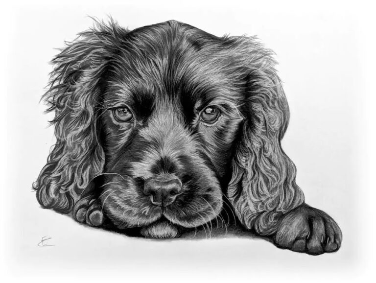 dog 768x578