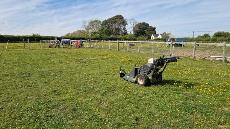 finglesham horse paddock 768x432